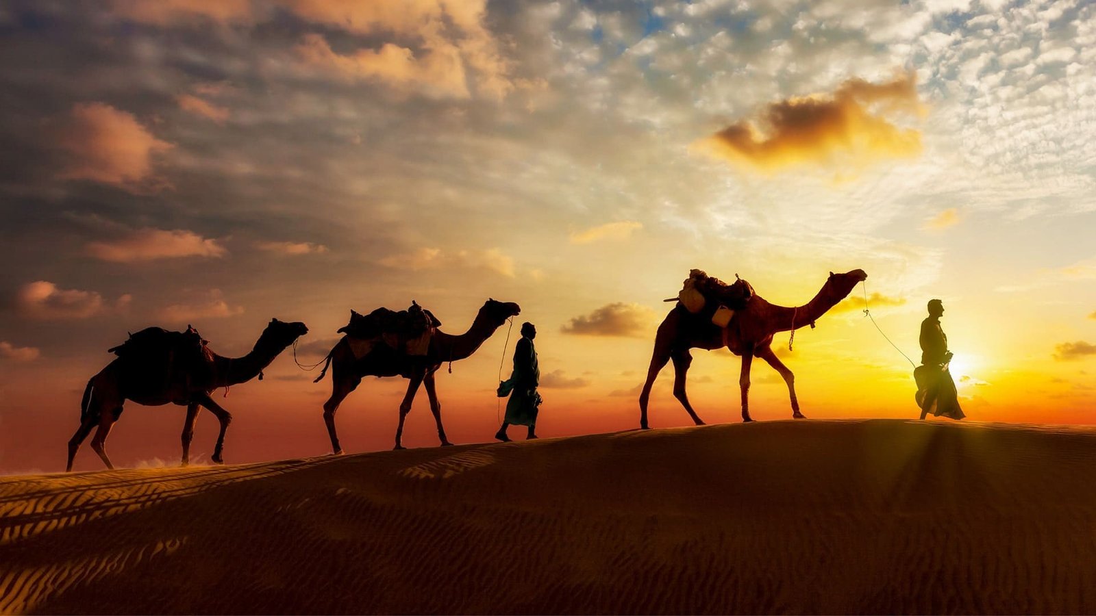 Desert Safaris
